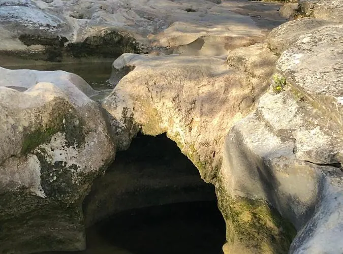 Retour Aux Sources Feriehus Sauve